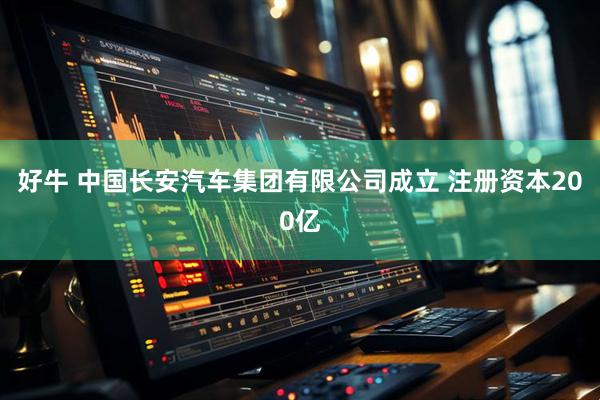 好牛 中国长安汽车集团有限公司成立 注册资本200亿