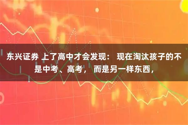 东兴证券 上了高中才会发现： 现在淘汰孩子的不是中考、高考， 而是另一样东西，
