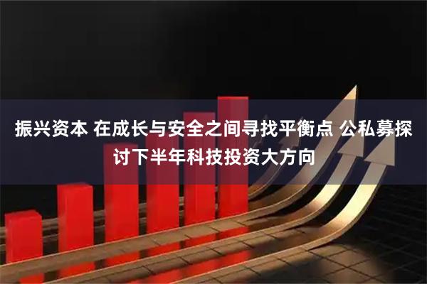 振兴资本 在成长与安全之间寻找平衡点 公私募探讨下半年科技投资大方向