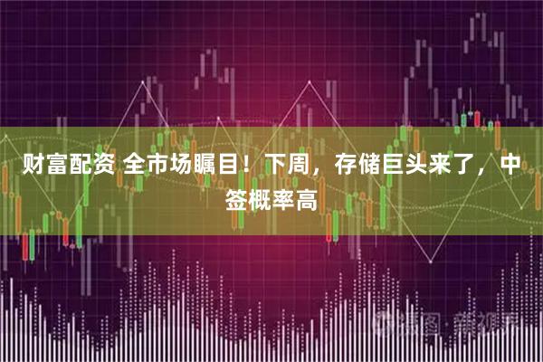 财富配资 全市场瞩目!下周,存储巨头来了,中签概率高