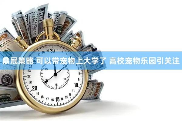 鼎冠策略 可以带宠物上大学了 高校宠物乐园引关注